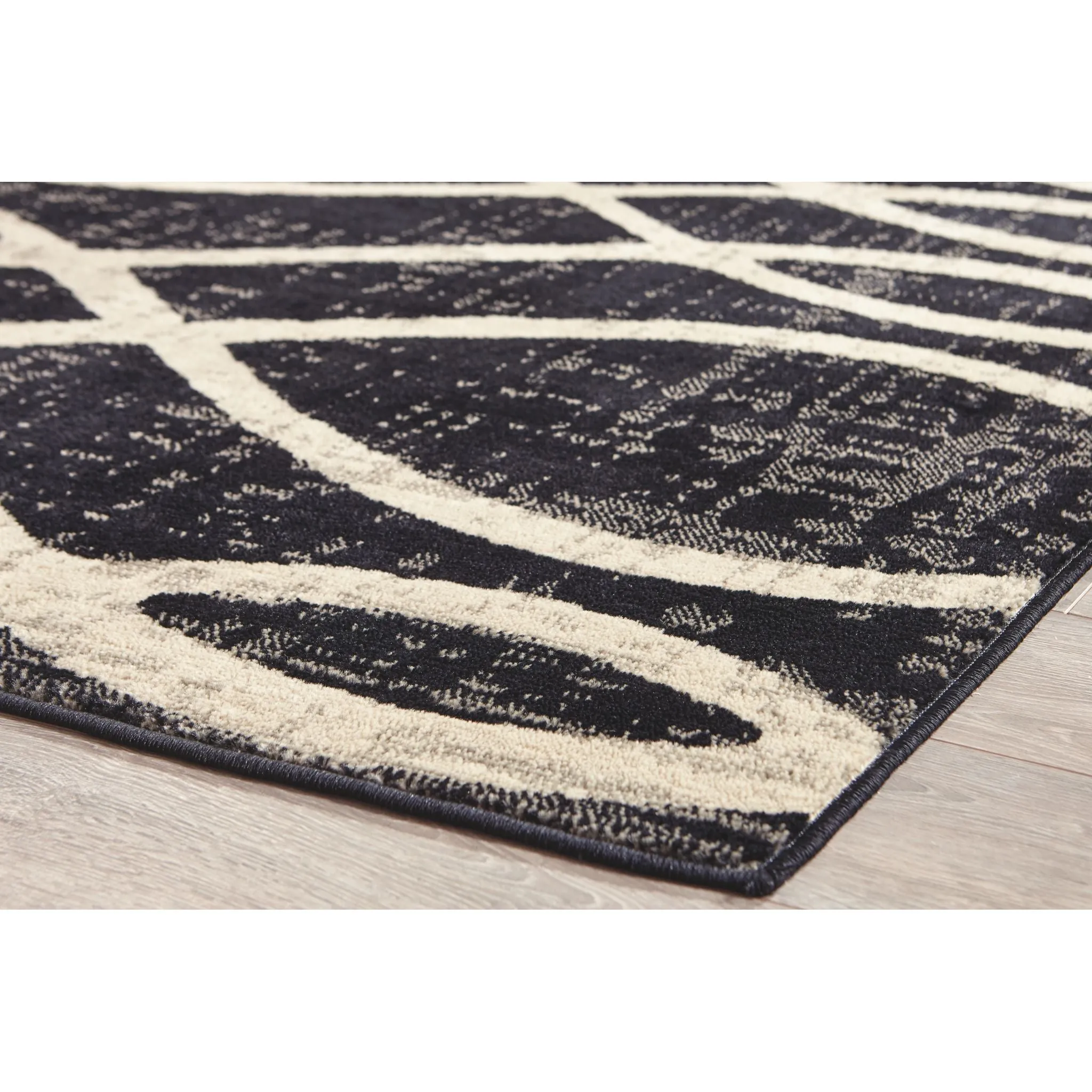 Avi Area Rug