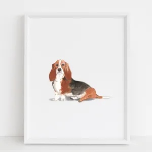 Basset Hound