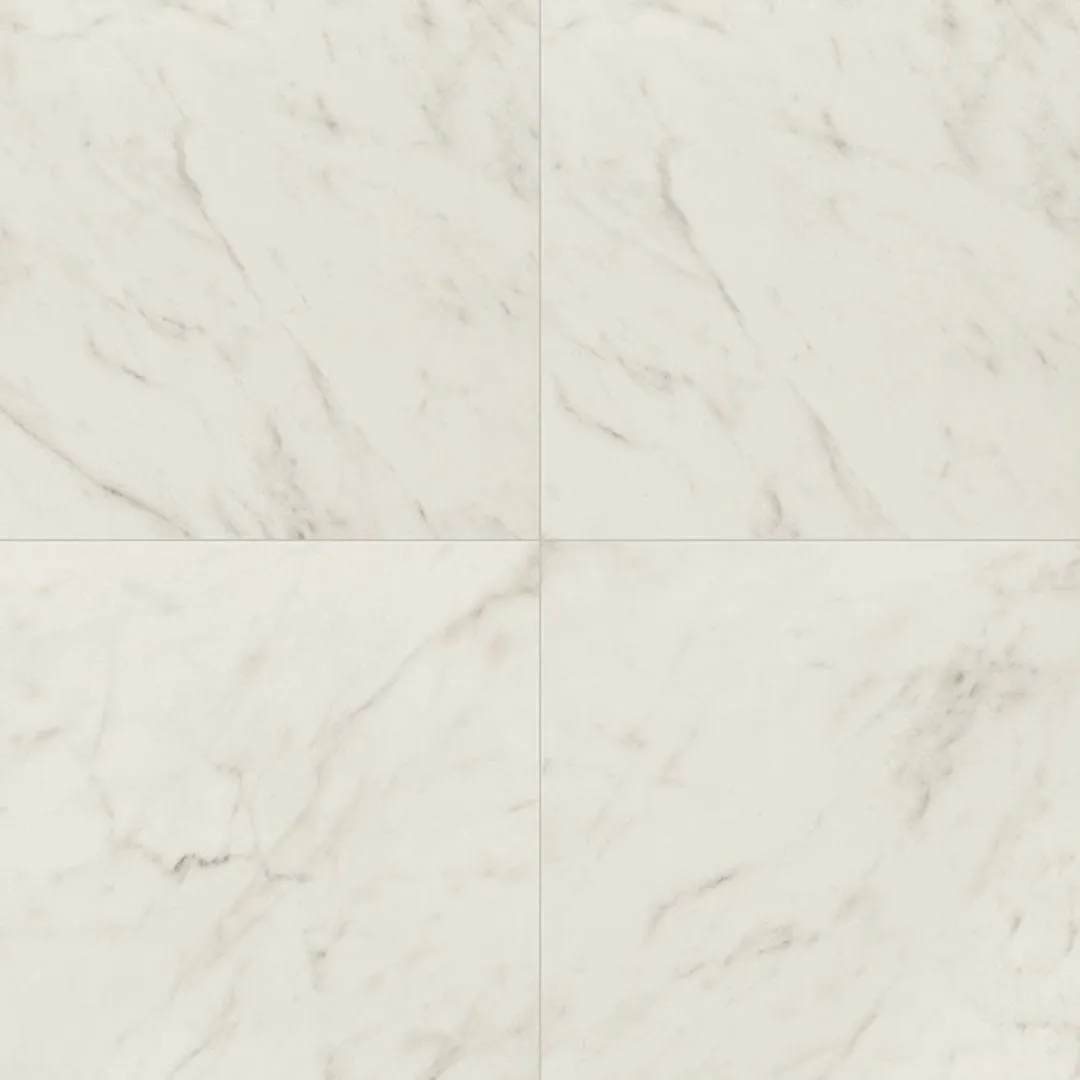 Carrara Bianco Matte, 24" x 24" - Porcelain Tile