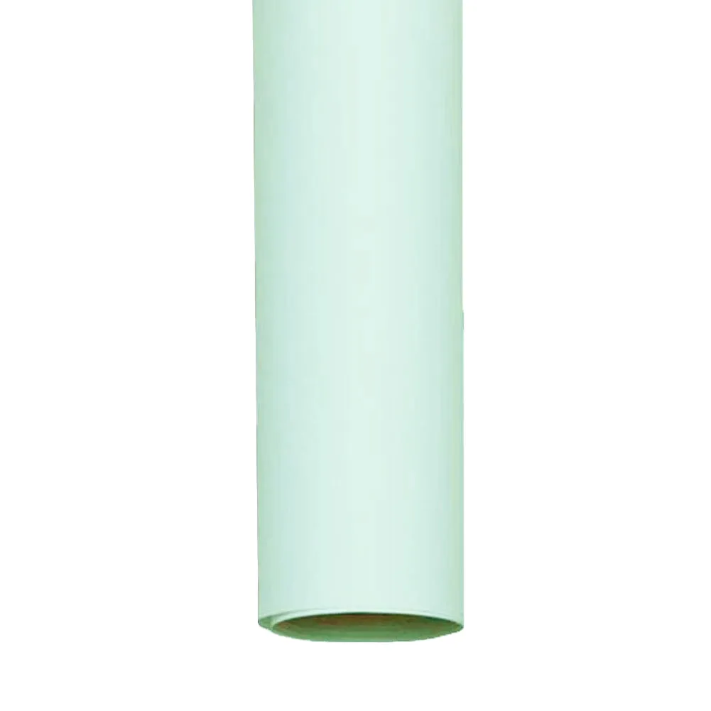 Spectrum Non-Reflective Full Paper Roll Backdrop (2.7 x 10M) - Mint To Be Green